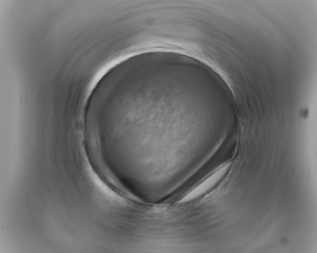 X0000091711531200709141109