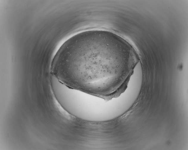 X0000091711532200709141109