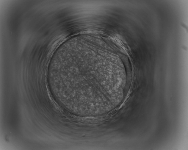 X0000091710001200709210950