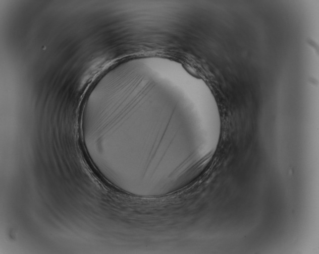 X0000091710002200709210950