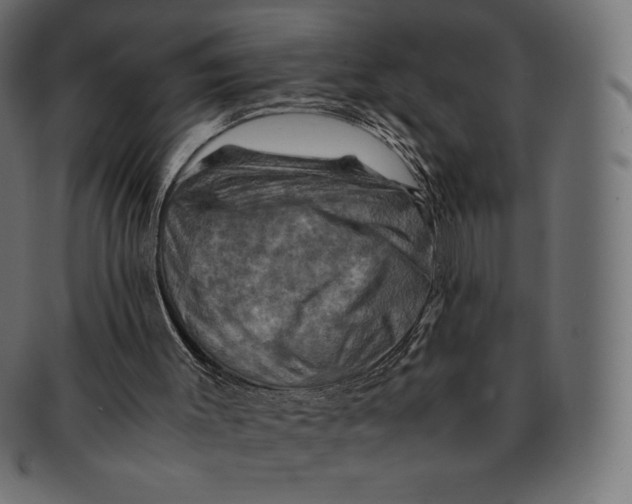 X0000091710003200709210950