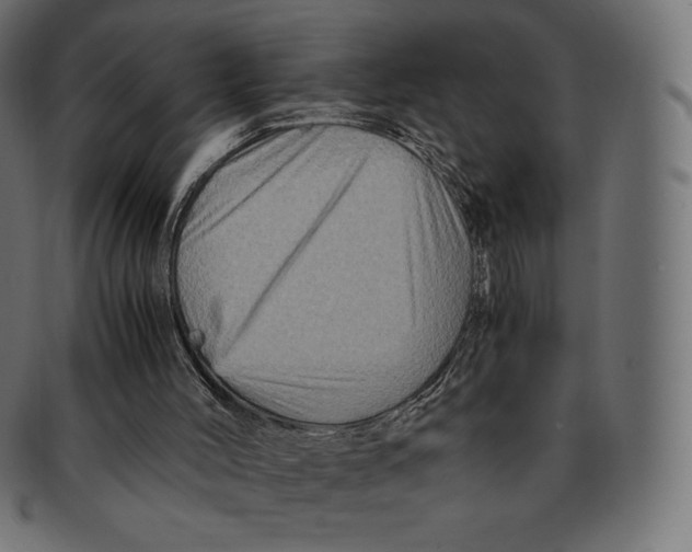 X0000091710004200709210950