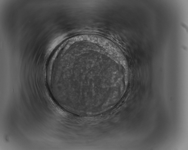 X0000091710005200709210950