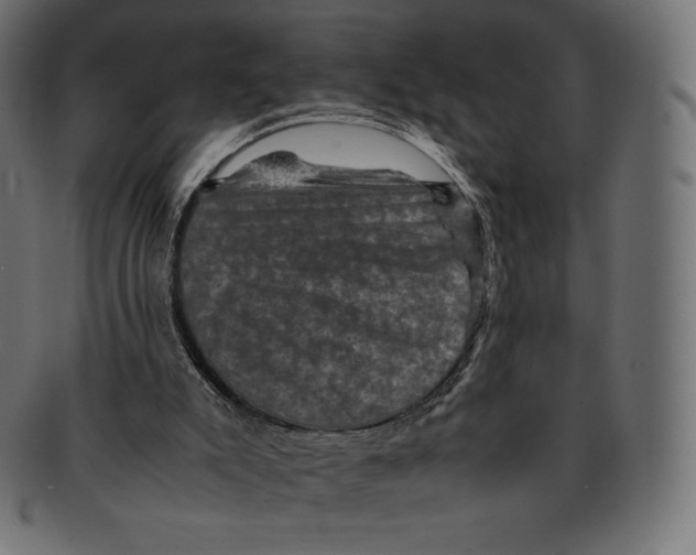 X0000091710007200709210950