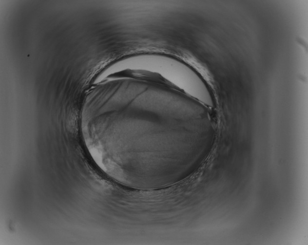 X0000091710009200709210950