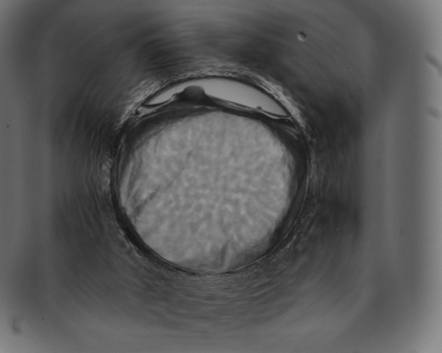 X0000091710010200709210950