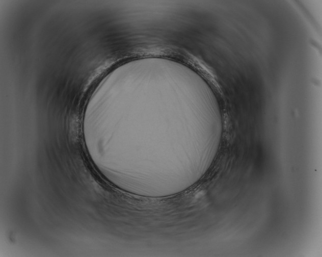 X0000091710012200709210950