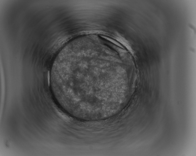 X0000091710013200709210950