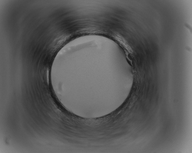 X0000091710014200709210950