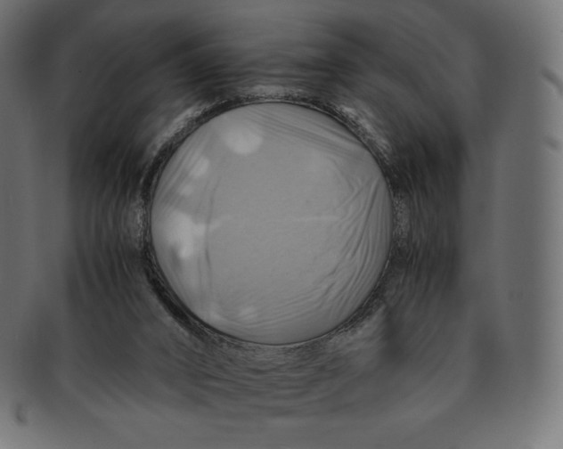 X0000091710016200709210950