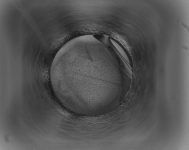 X0000091710017200709210950