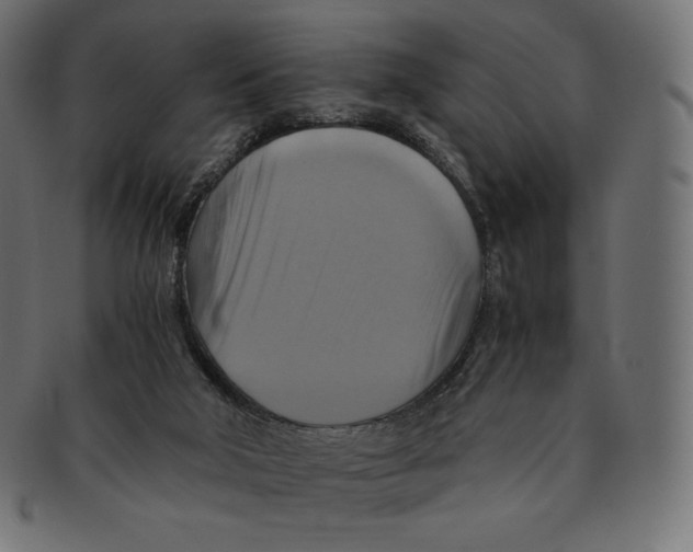 X0000091710018200709210950