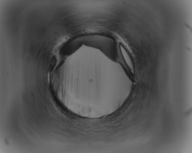 X0000091710019200709210950