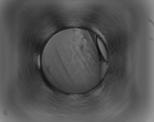 X0000091710020200709210950