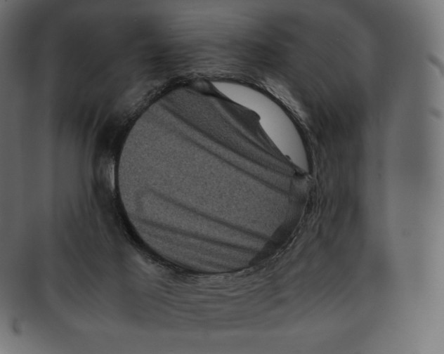 X0000091710021200709210950