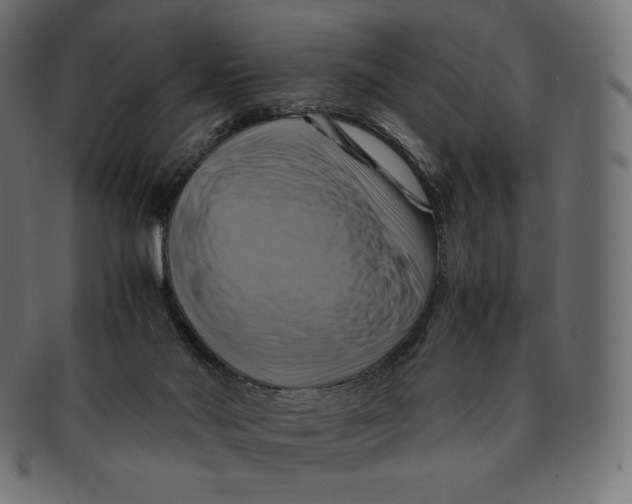 X0000091710022200709210950