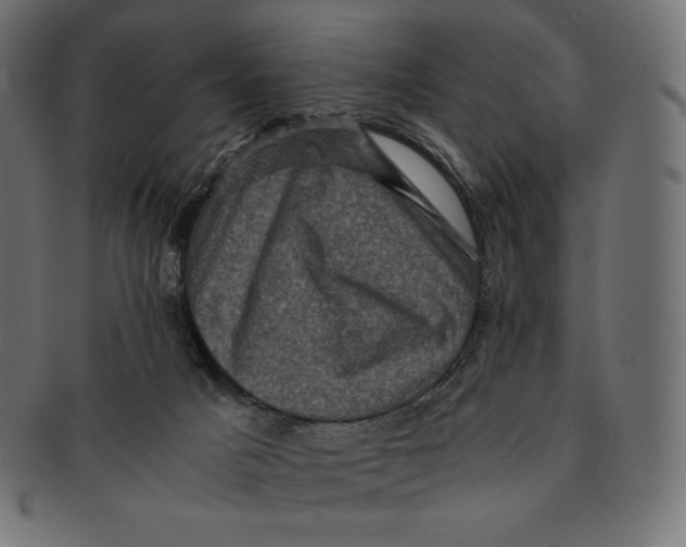 X0000091710025200709210950