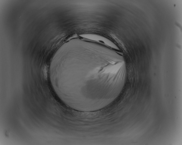 X0000091710026200709210950