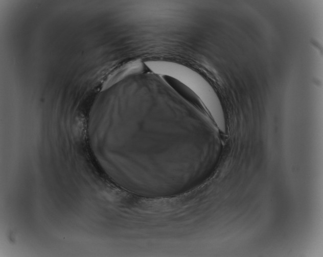 X0000091710029200709210950