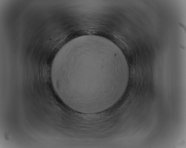 X0000091710030200709210950