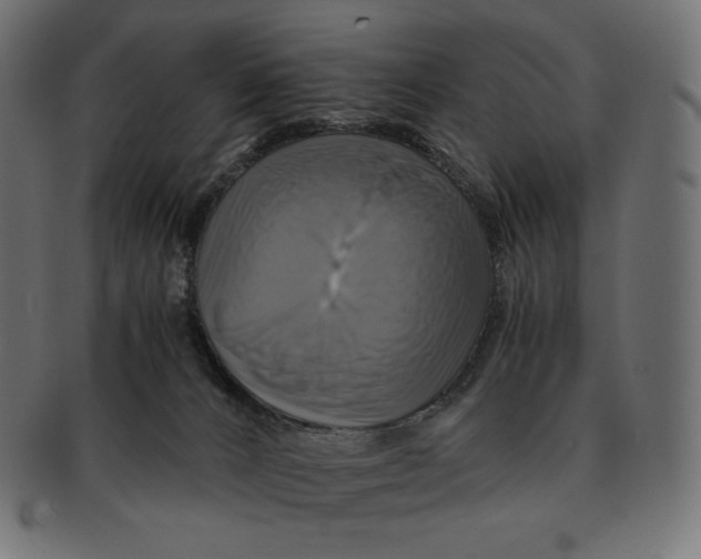 X0000091710032200709210950