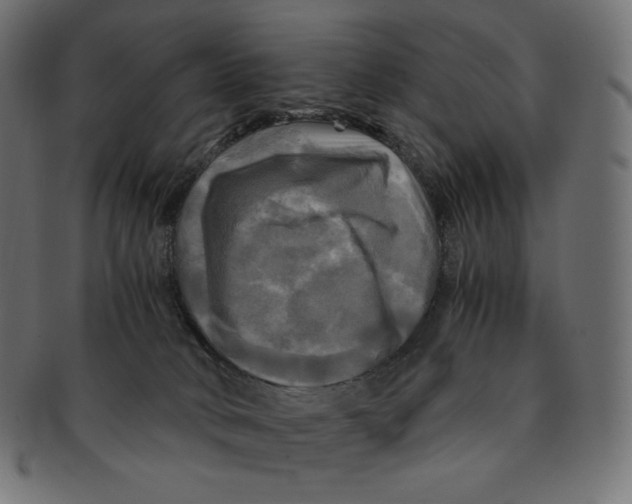 X0000091710034200709210950