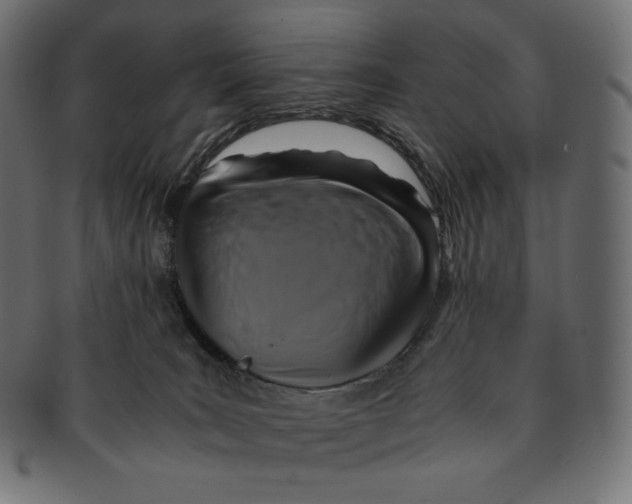 X0000091710035200709210950