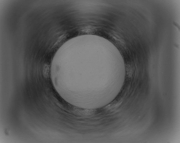 X0000091710036200709210950