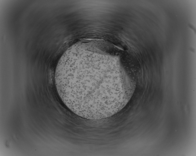 X0000091710038200709210950