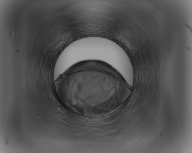 X0000091710039200709210950