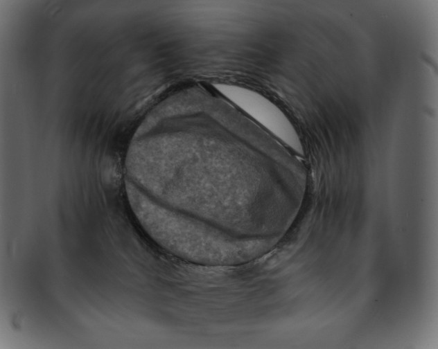 X0000091710040200709210950