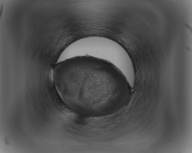 X0000091710041200709210950