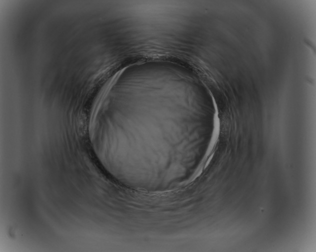 X0000091710043200709210950