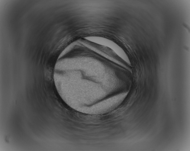 X0000091710044200709210950