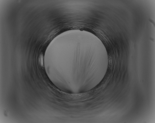 X0000091710046200709210950