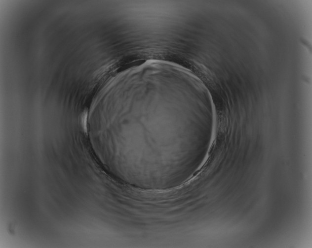 X0000091710047200709210950