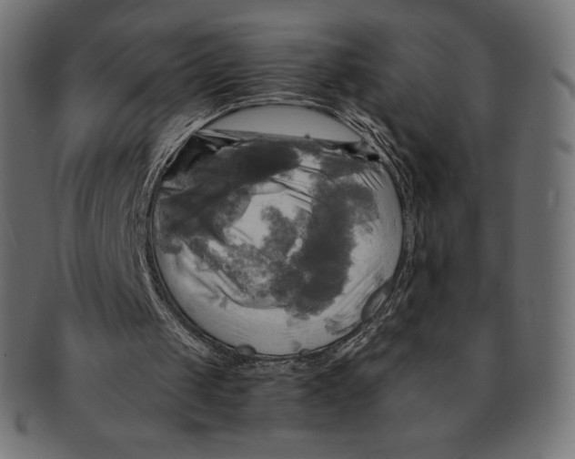 X0000091710049200709210949