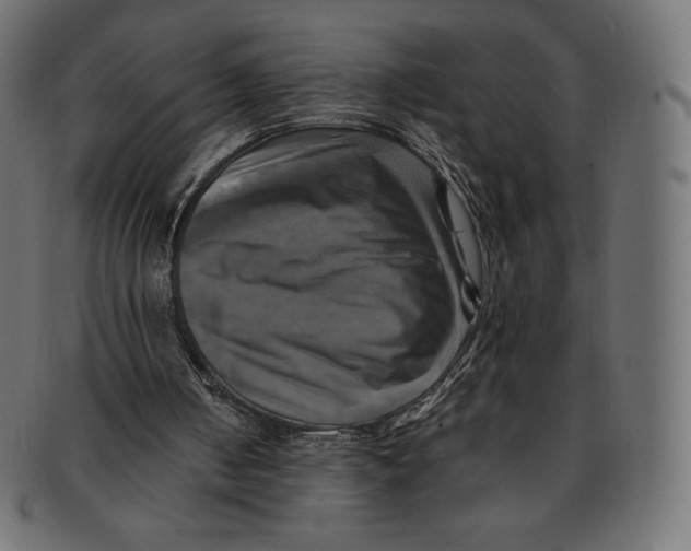 X0000091710050200709210949