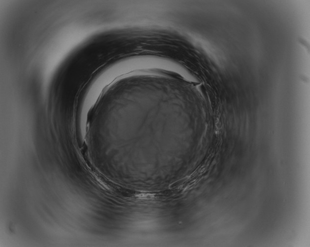 X0000091710052200709210949