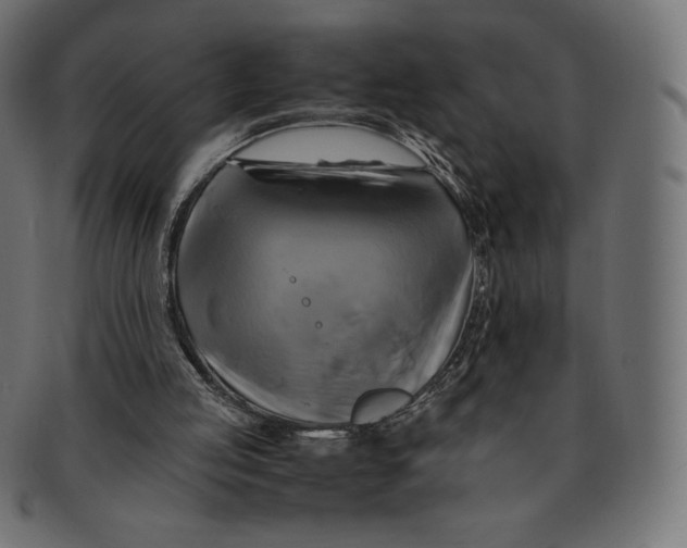 X0000091710053200709210949