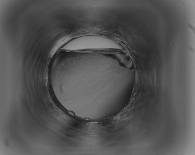 X0000091710054200709210949