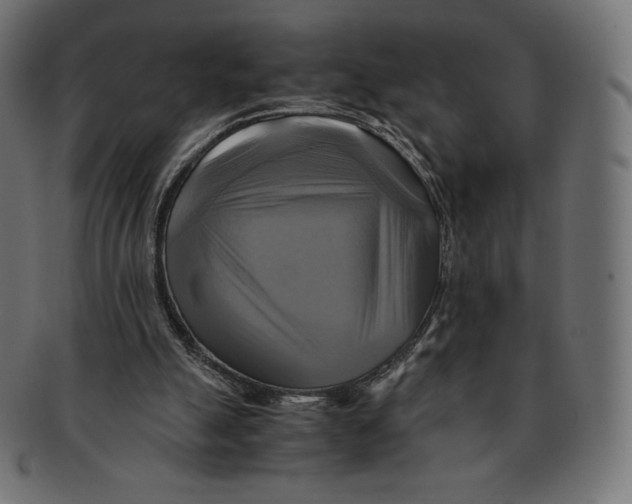 X0000091710055200709210949