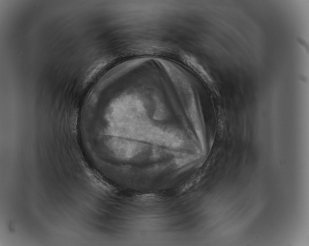 X0000091710058200709210949