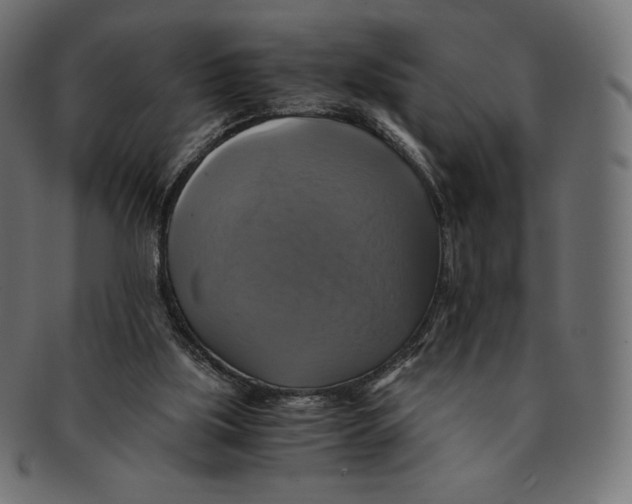 X0000091710059200709210949