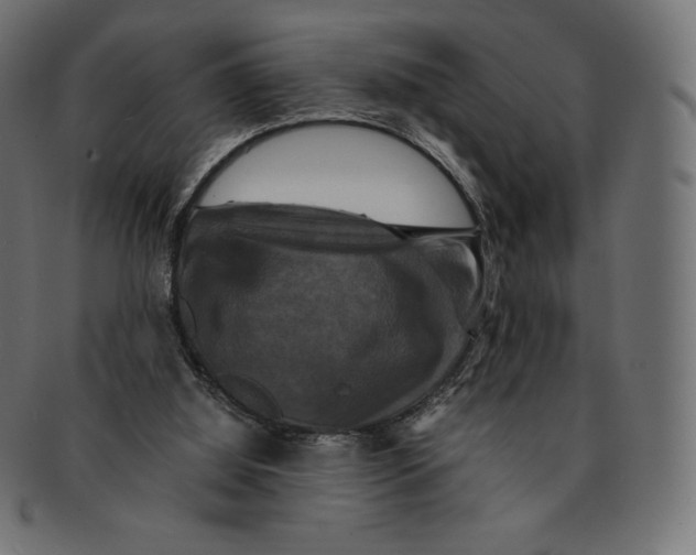 X0000091710060200709210949