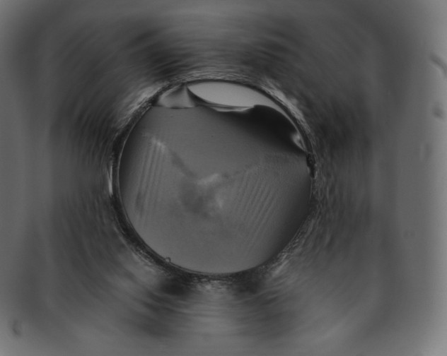 X0000091710062200709210949