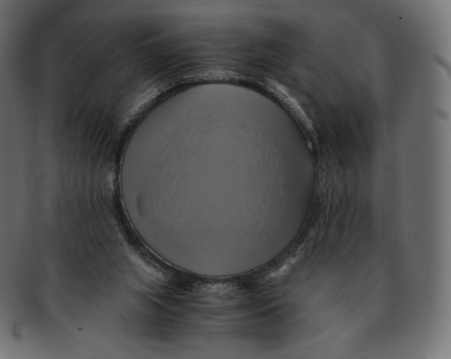 X0000091710063200709210949