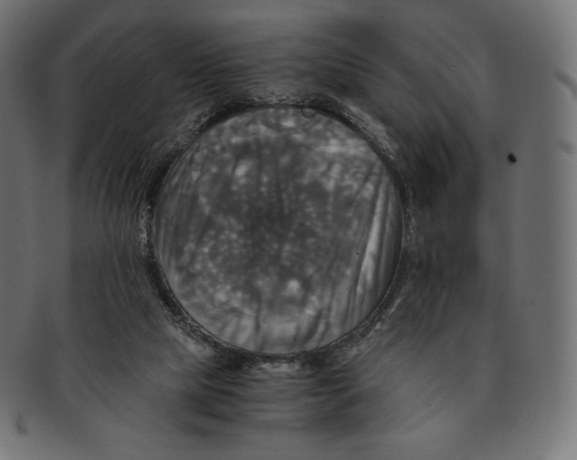 X0000091710065200709210949