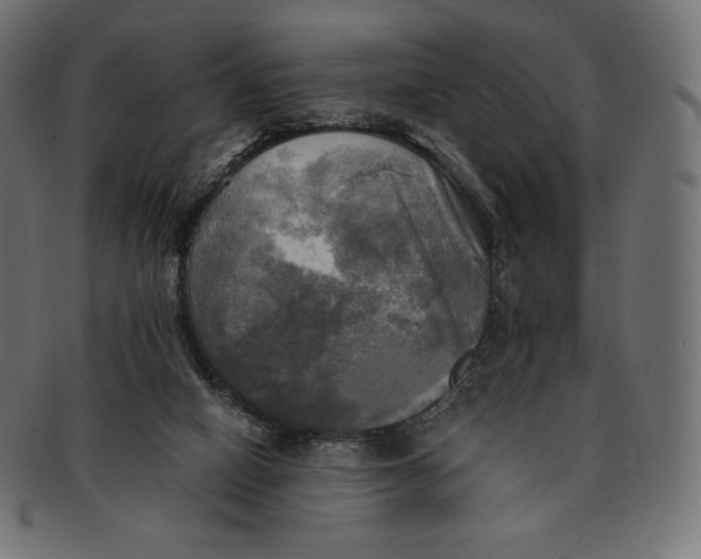 X0000091710066200709210949