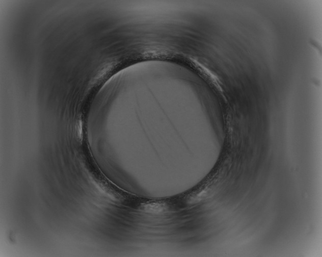 X0000091710067200709210949